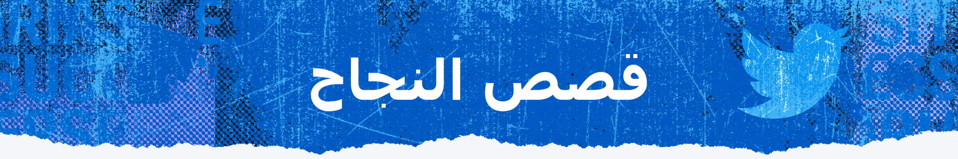 قصص النجاح